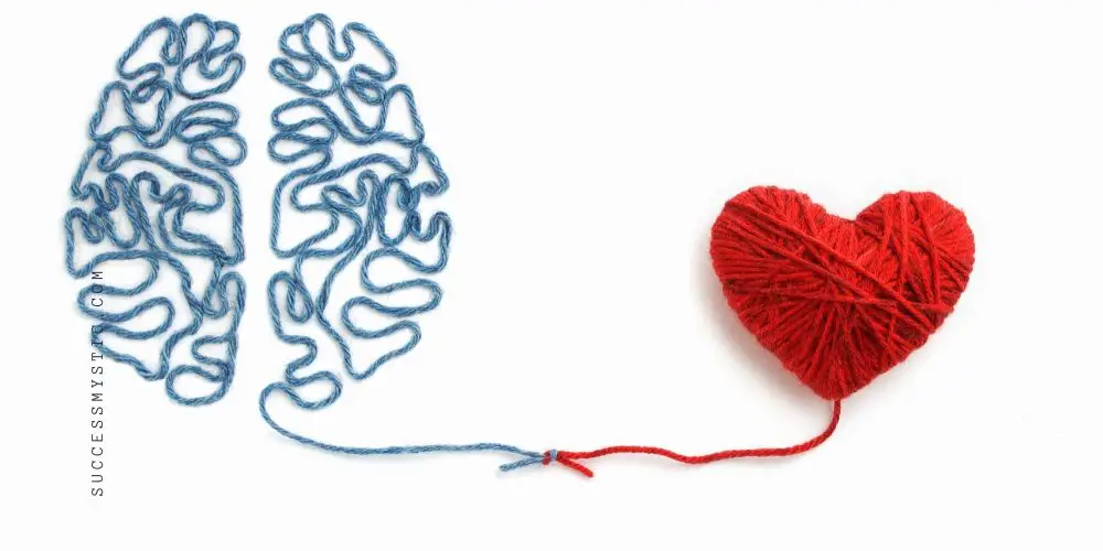 5 Components Of Emotional Intelligence
