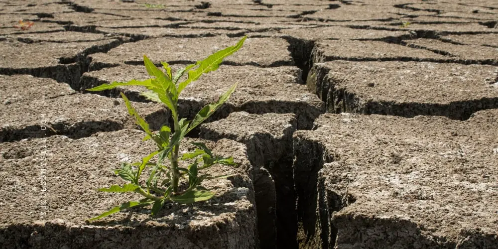 The Ultimate Guide To Mastering Resilience