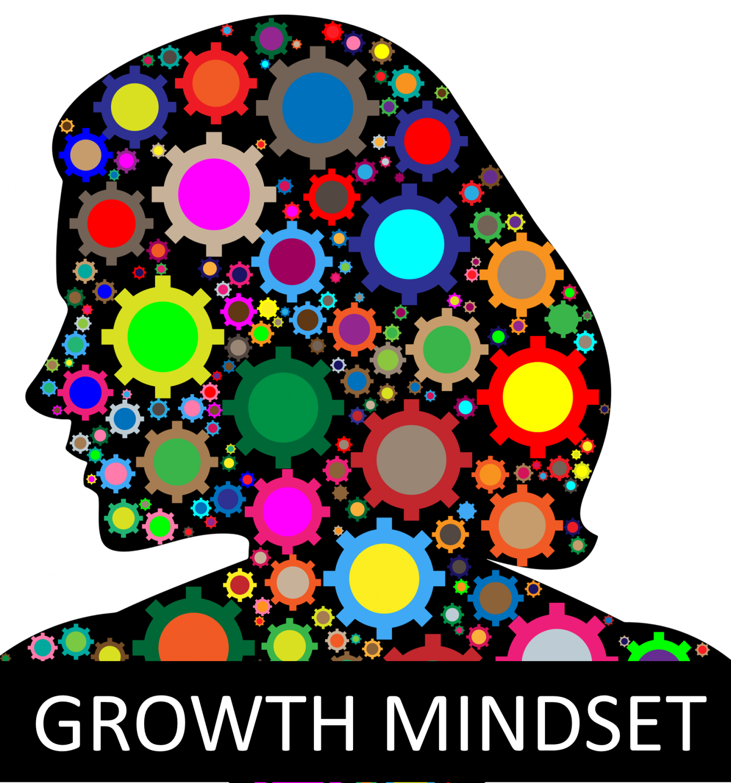 How To Embrace Growth Mindset To Reprogram Your Brain For Success ...