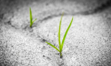 Why Manifestation and Determination Is A Magic Combination