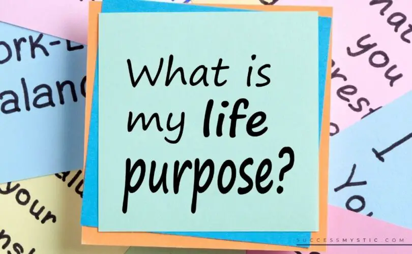 What is your life purpose