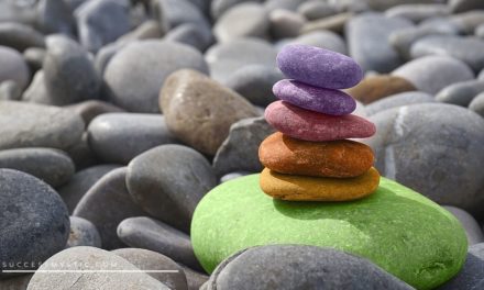 The Beginners Guide To Visualization